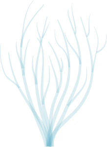 swiming-vector9