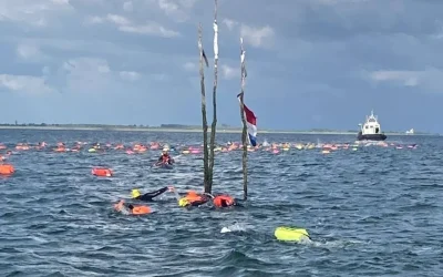 Openwater 2026