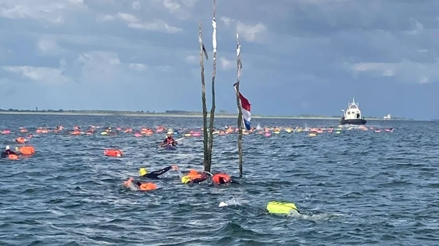 Openwater 2026